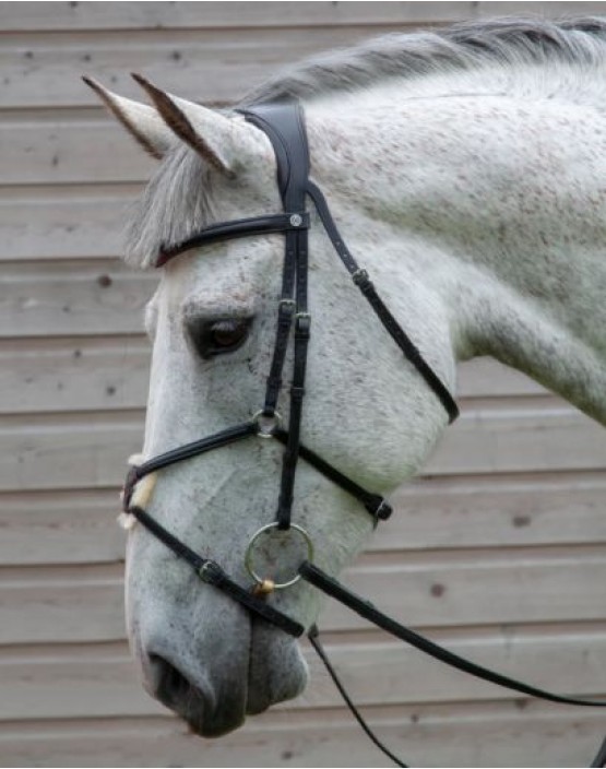 Henry James Mexican Grackle Bridle