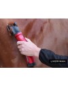 Liveryman Phoenix Clippers