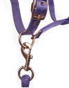  ARMA Fleece Headcollar and Lead Rope Set