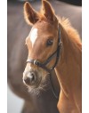 Velociti Gara Leather Foal Slip